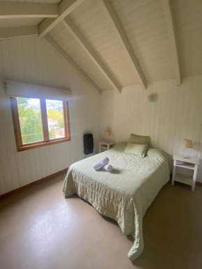 Departamento Artemisa San Martin De Los Andes